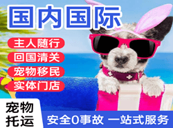 抚远东极空运公司国际宠物托运 【国